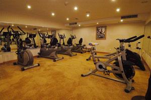 星际领航号游轮健身房