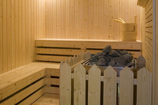 世纪江山如诗游轮桑拿室