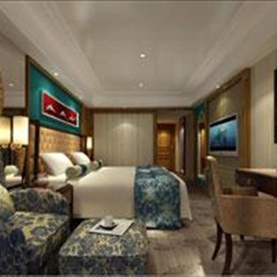 长江黄金八号游轮黄金8号游轮（标准间）