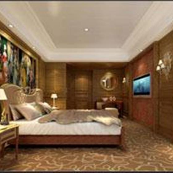 长江黄金八号游轮黄金8号游轮（总套夫人房）